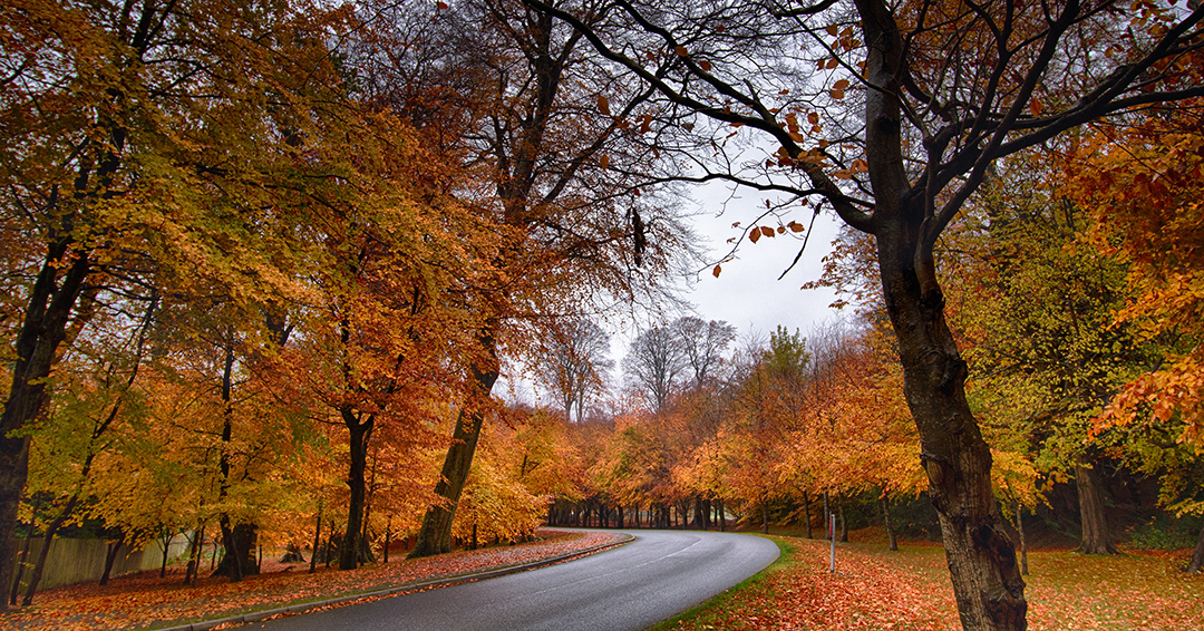 EMBRACING AUTUMN IN AUSTRALIA: MAKING THE MOST OF THE GREAT OUTDOORS